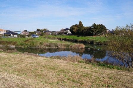 イメージ 8