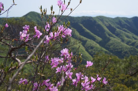 DSC07301