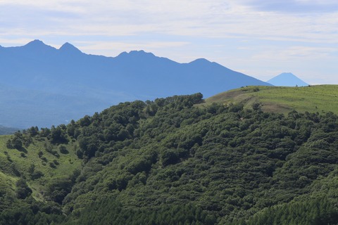 IMG_3554