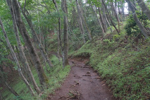 DSC02107