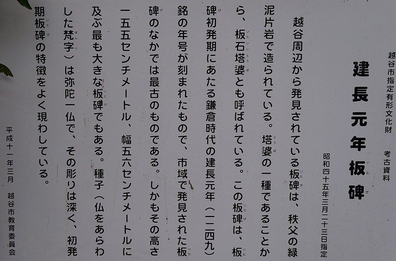 イメージ 5