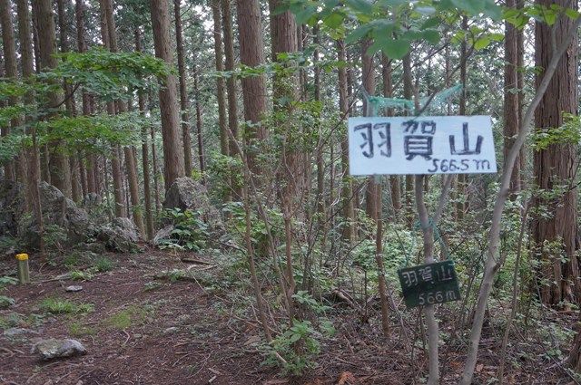 イメージ 12