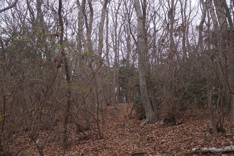 DSC00295