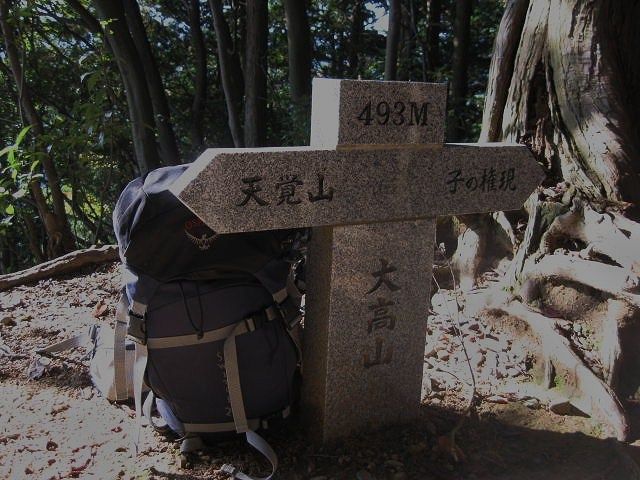イメージ 13
