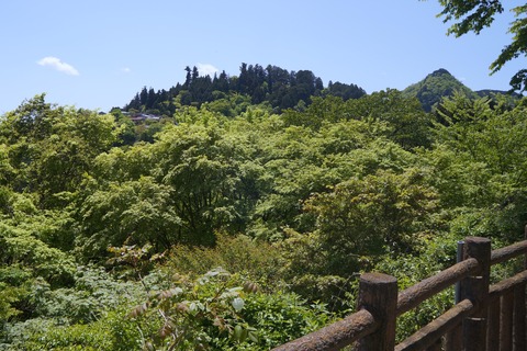 DSC01537