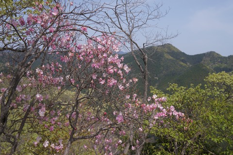 DSC01024