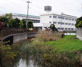 イメージ 15