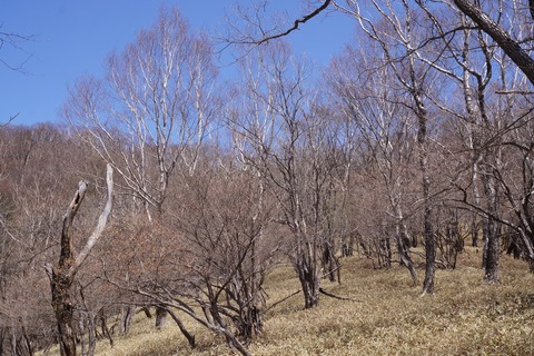DSC01384