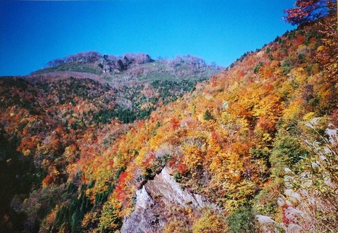 DSC04386三国山林道