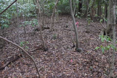 DSC00608