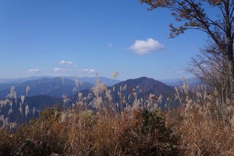 DSC08421