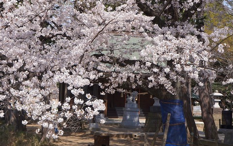 DSC04000
