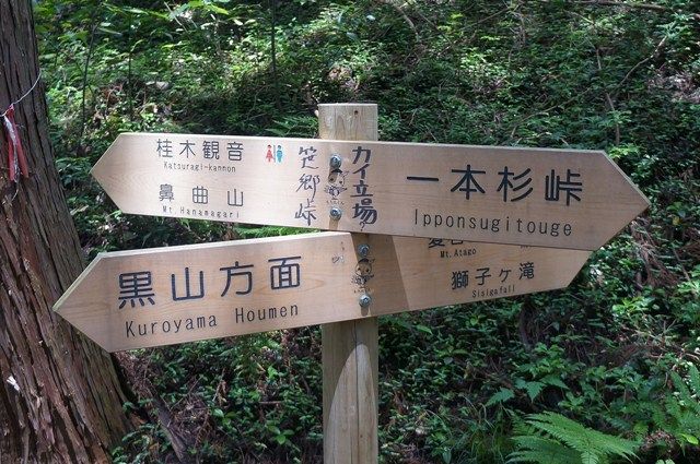 イメージ 10