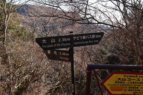 IMG_8877 - コピー