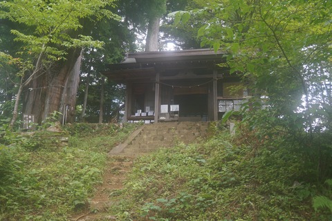 DSC02414