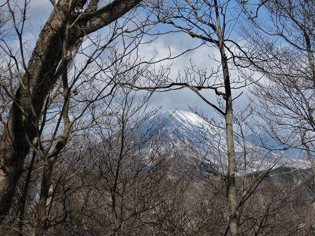 イメージ 14