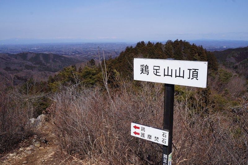 イメージ 10