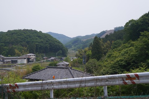 DSC07503
