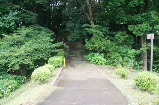 イメージ 9