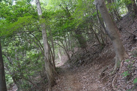DSC02017