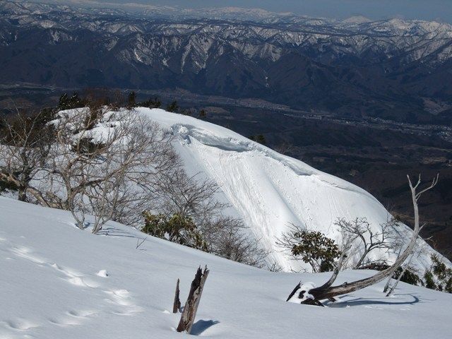 イメージ 19
