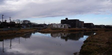 イメージ 8