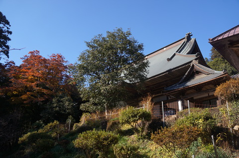 DSC03178