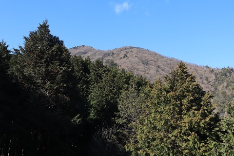 IMG_8908 - コピー