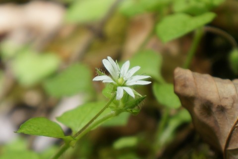 DSC01497