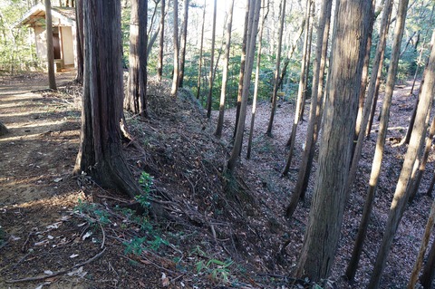 DSC09793二郭より