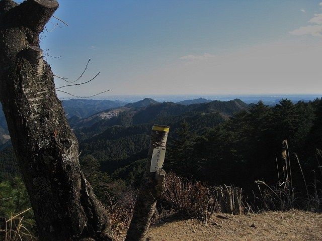 イメージ 11