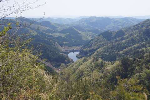 DSC00964