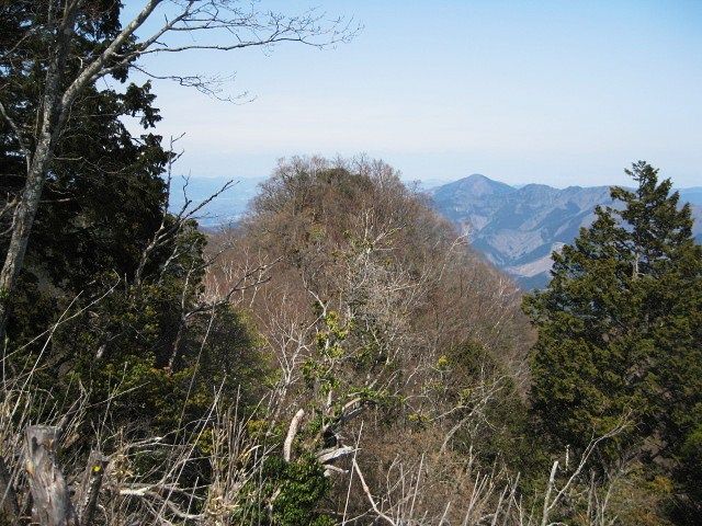 イメージ 5