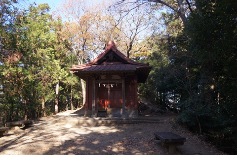 DSC03156