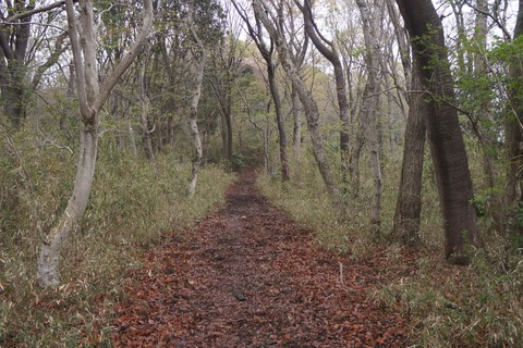 DSC00610