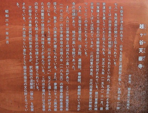 イメージ 11