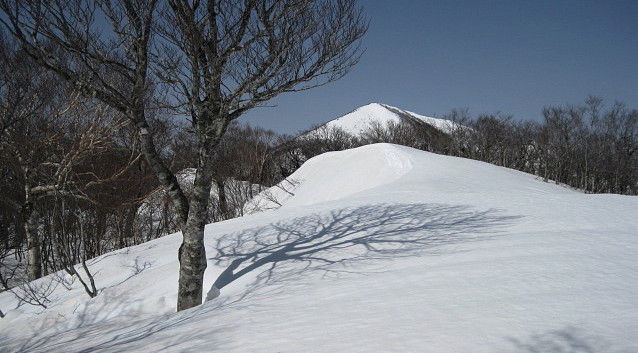 イメージ 6