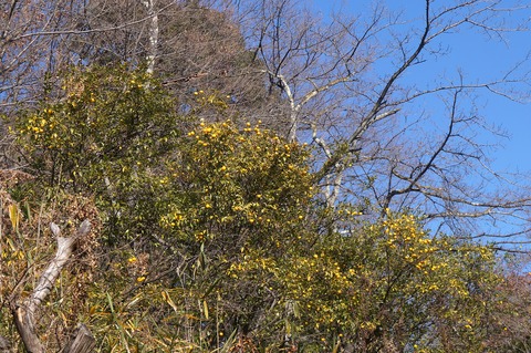 DSC05810