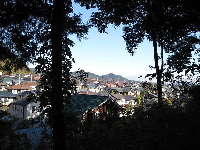 イメージ 8