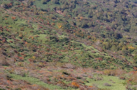 DSC08051