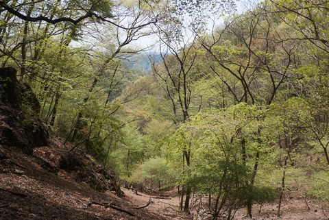 DSC07259