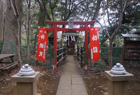 DSC05956