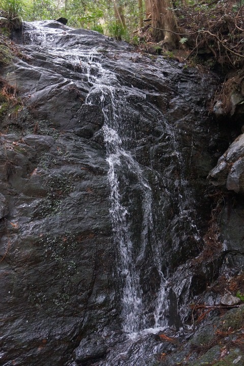 DSC00594