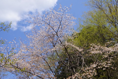 DSC01430