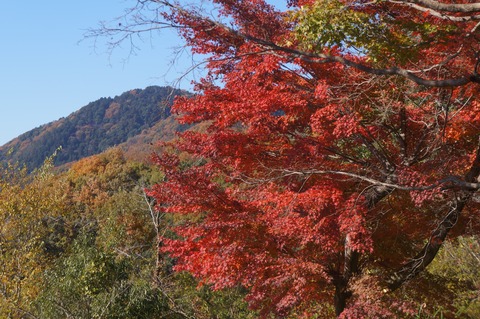 DSC08700