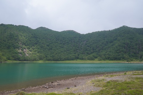 DSC02316
