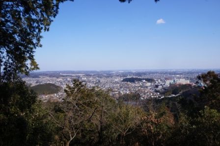 イメージ 20