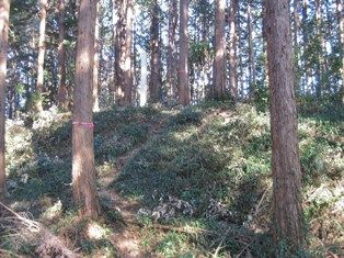 イメージ 26