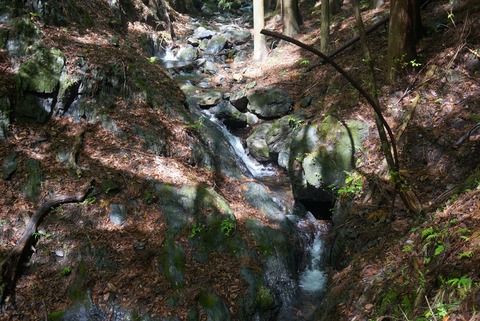 DSC07240