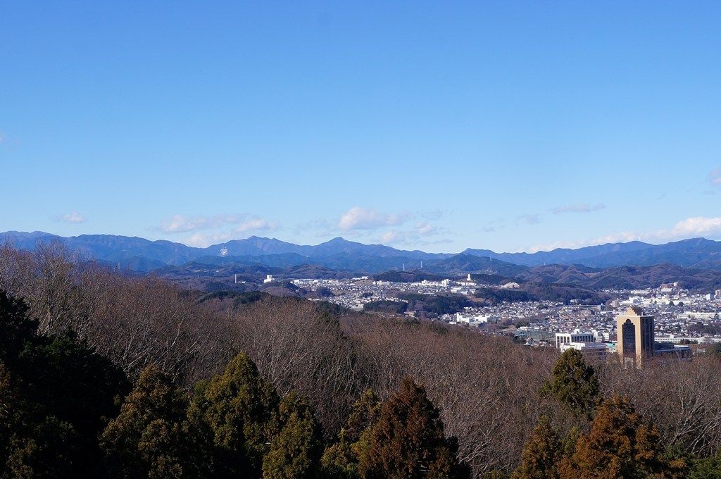 イメージ 8